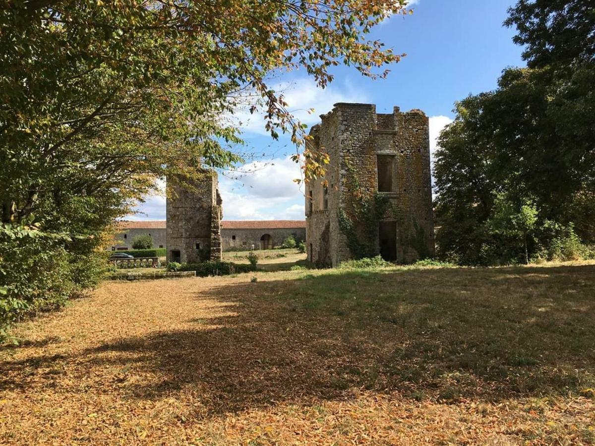 Chambre d'hôtes Un Beau Regard, Proche Puy du Foù Mauleon Exterior foto